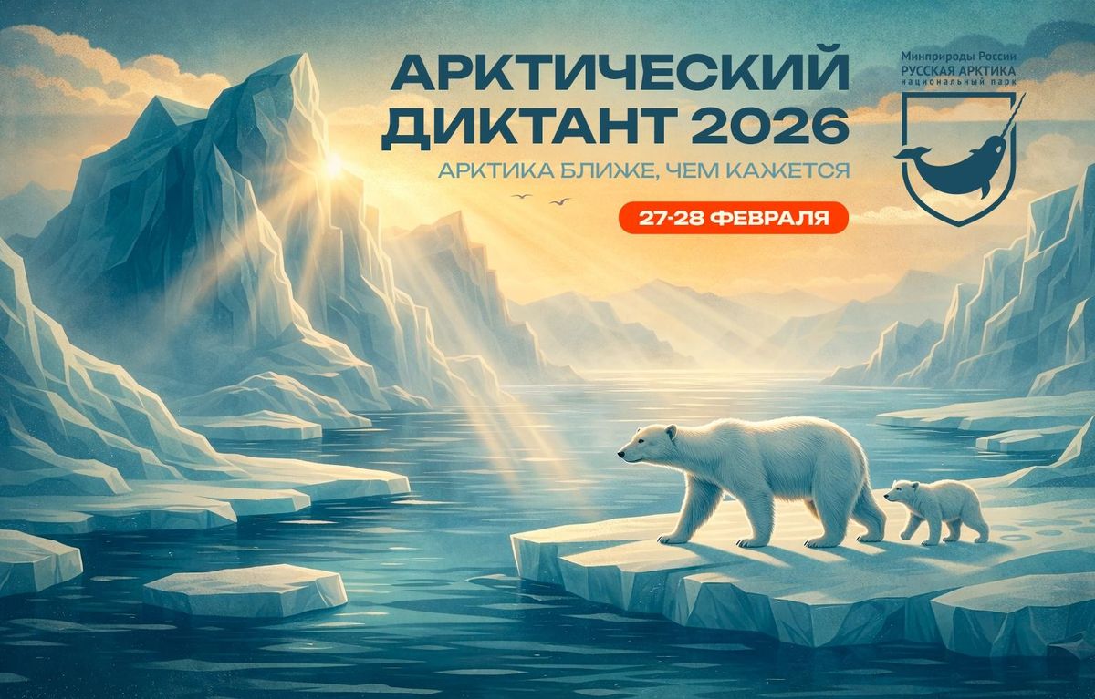 Афиша Арктического диктанта 2026
