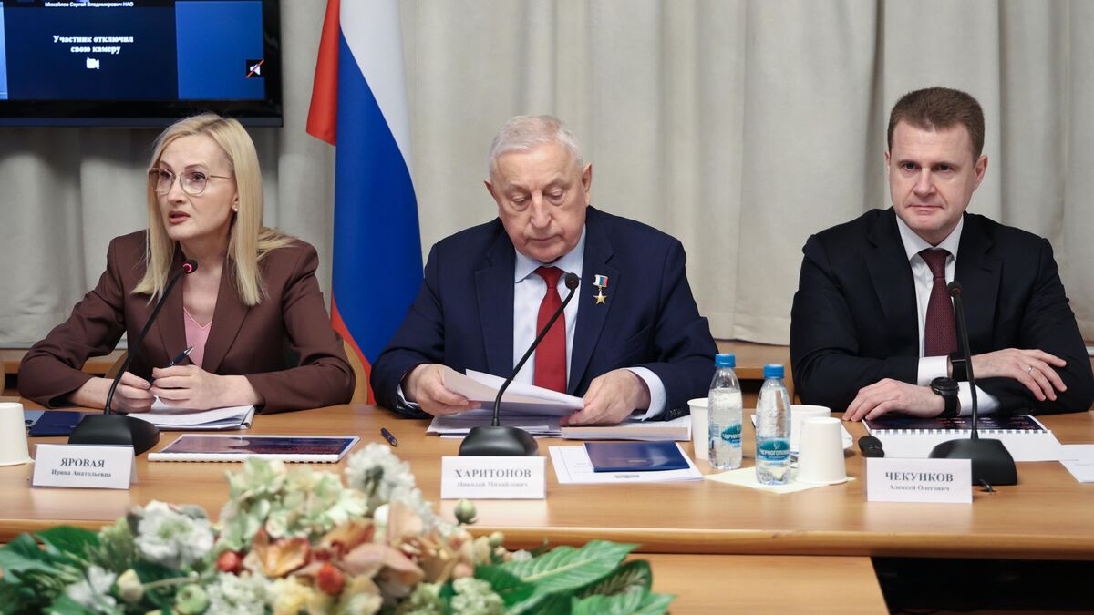 Заседание Комитета по развитию Дальнего Востока и Арктики