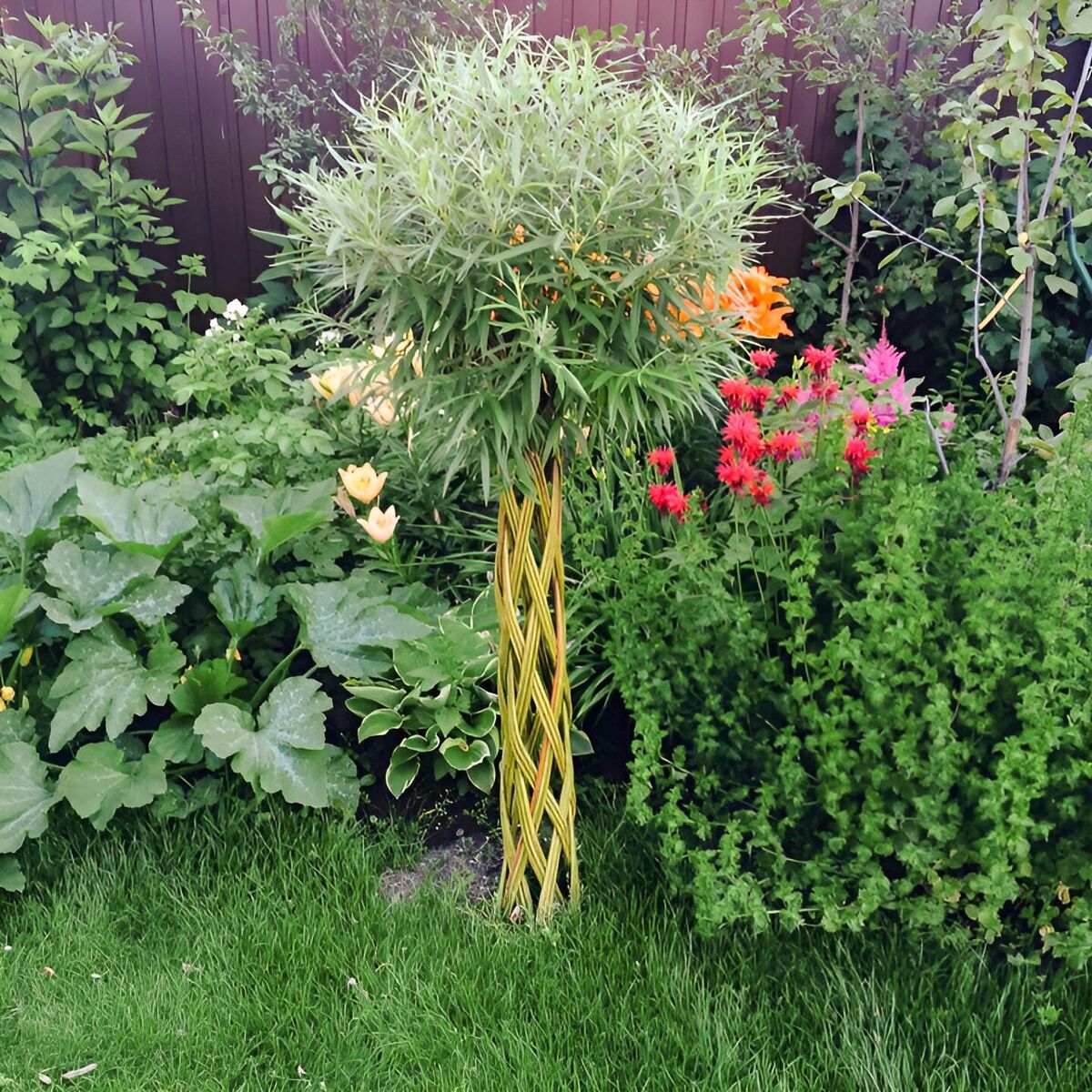 Дерево Северная пальма из ивового прутка