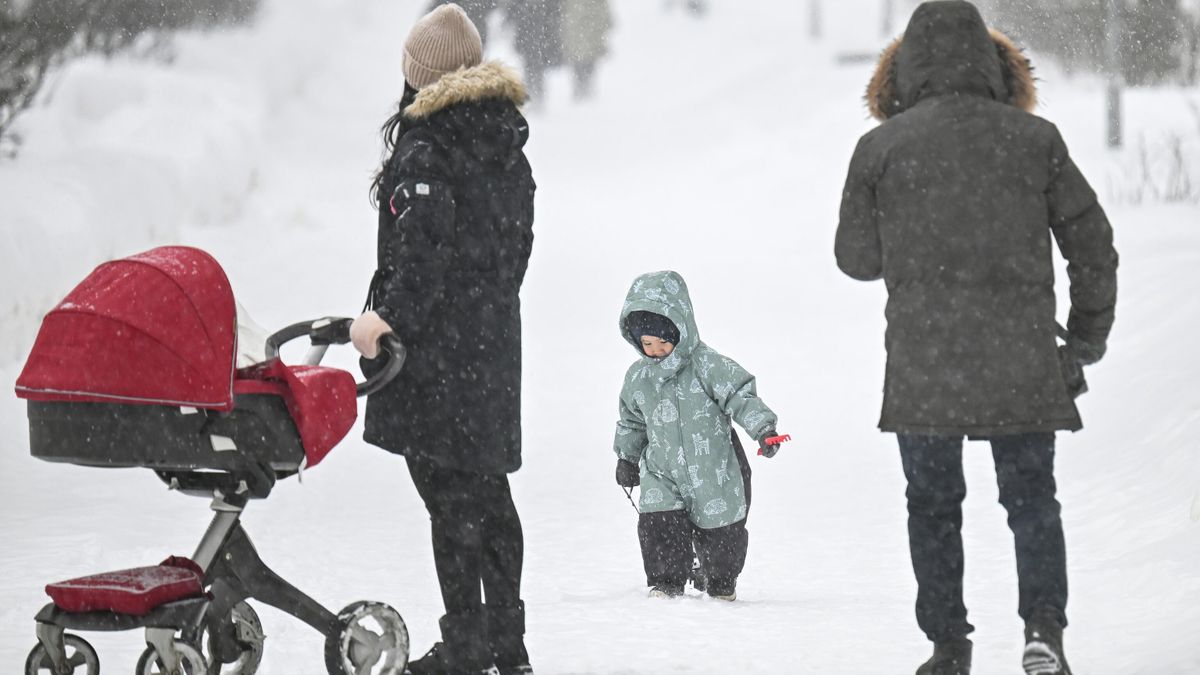 Родители с детьми во время прогулки