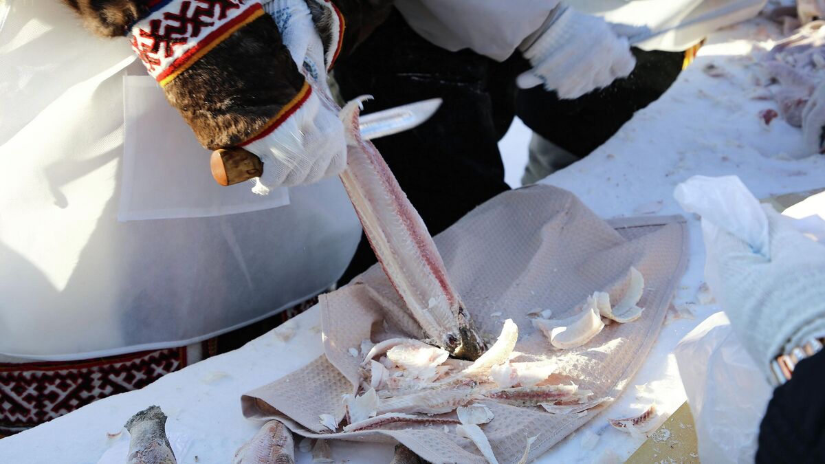 Участники конкурса строганины Халяко