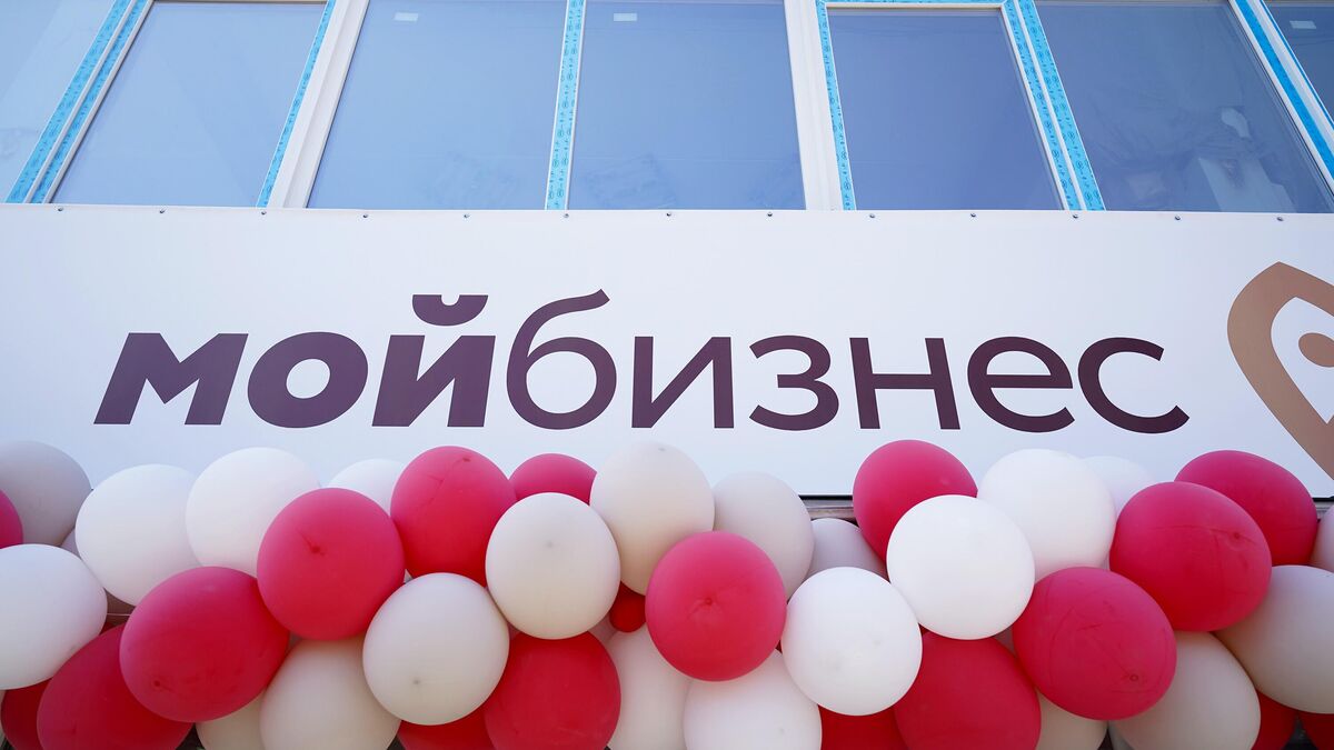 Центр по развитию предпринимательства Мой бизнес 