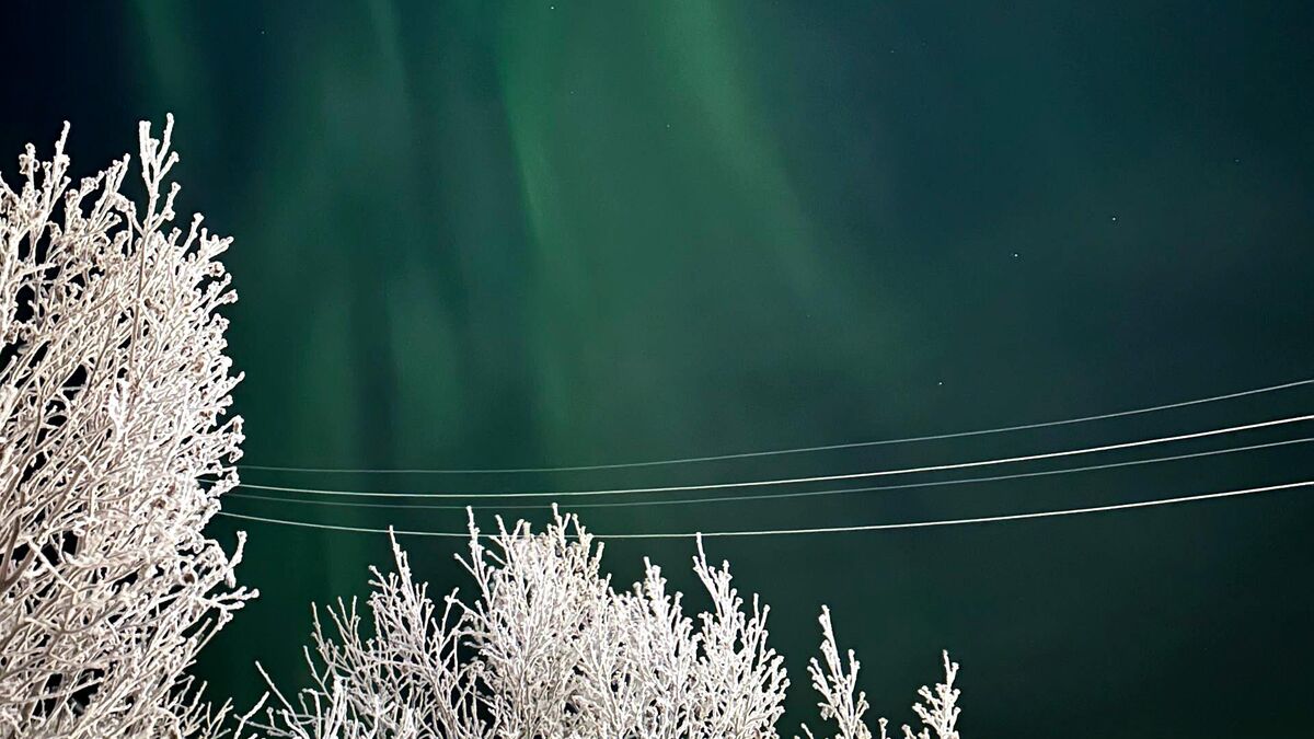 Северное сияние над посёлком Тазовский