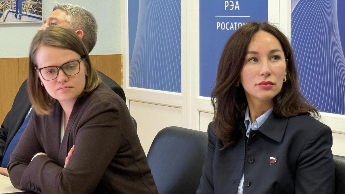 Сенатор РФ Елена Дягилева на заседании по исполнению долгосрочного плана социально-экономического развития Кировско-Апатитской агломерации