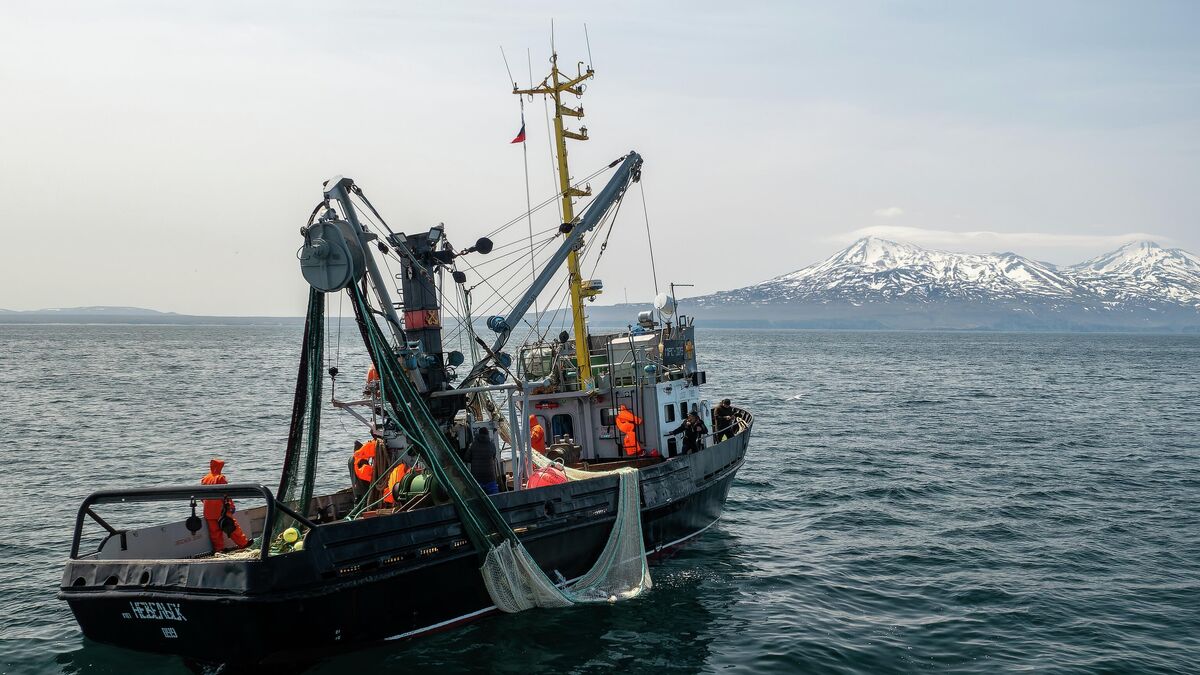 Рыболовное судно в Охотском море