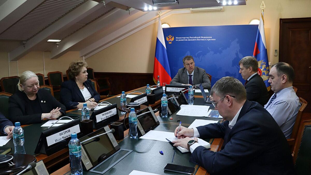 Заседание Общественного совета при Министерстве по развитию Дальнего Востока и Арктики