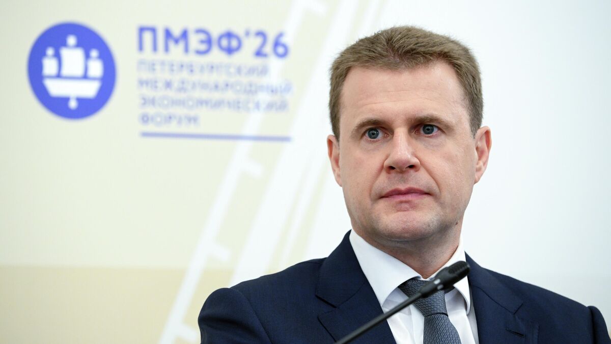 Глава Министерства по развитию Дальнего Востока и Арктики Алексей Чекунков