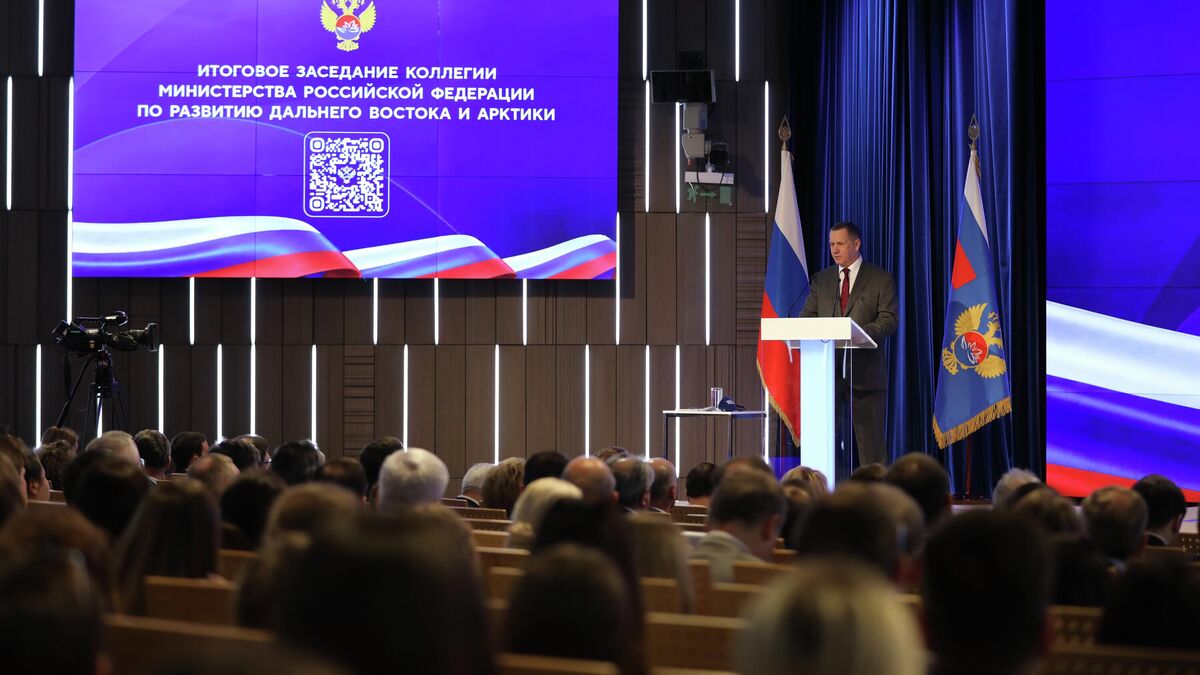 Заседание коллегии Министерства Российской Федерации по развитию Дальнего Востока и Арктики в Москве в пресс-центре МИА Россия Сегодня