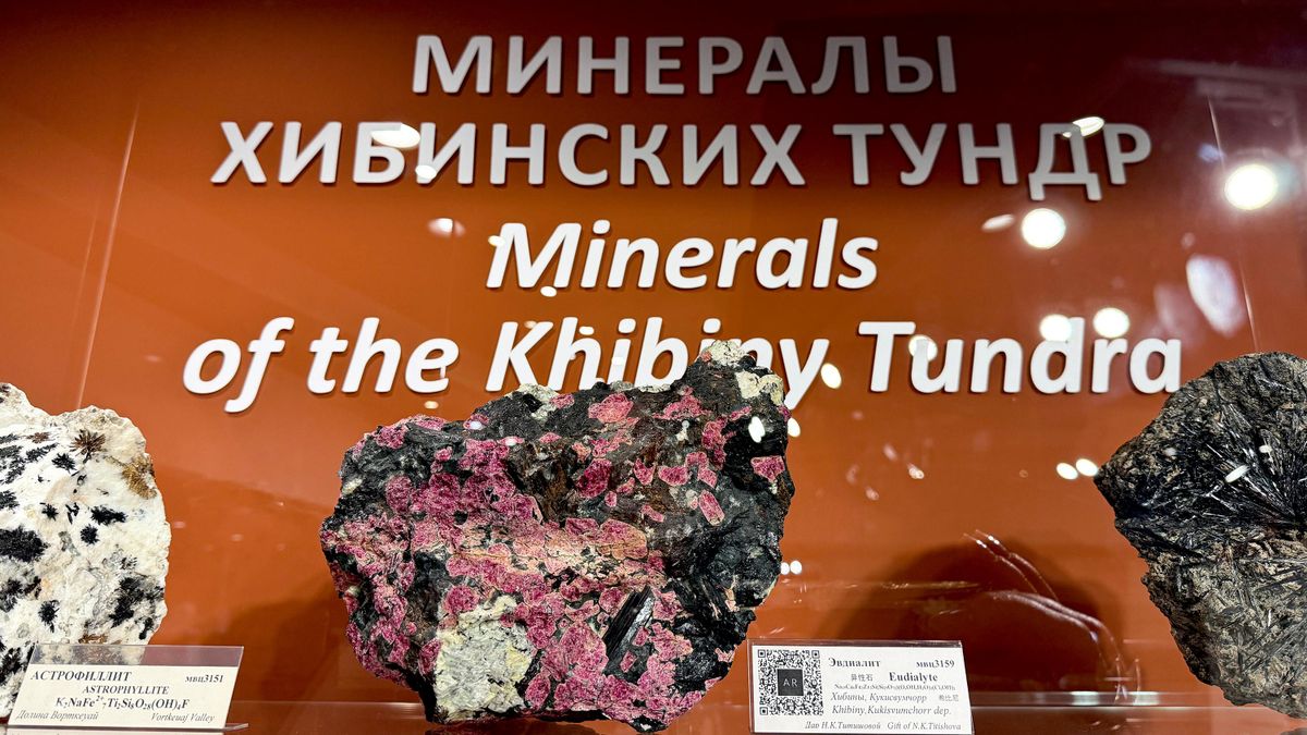 Коллекция минералов хибинских тундр в музейно-выставочном центре Апатит 