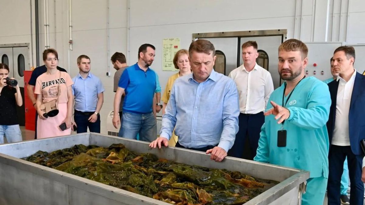 Открытие завода по переработке водорослей в Карелии Открытие завода по переработке водорослей в Карелии
