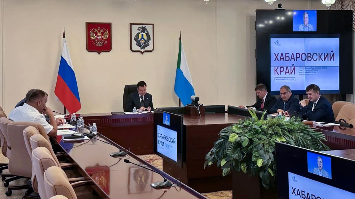 Заседание рабочей группы правительства Хабаровского края по разработке новой стратегии развития региона
