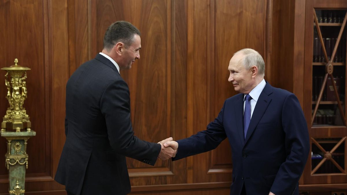 Владимир Путин на встрече с губернатором Хабаровского края Дмитрием Демешиным