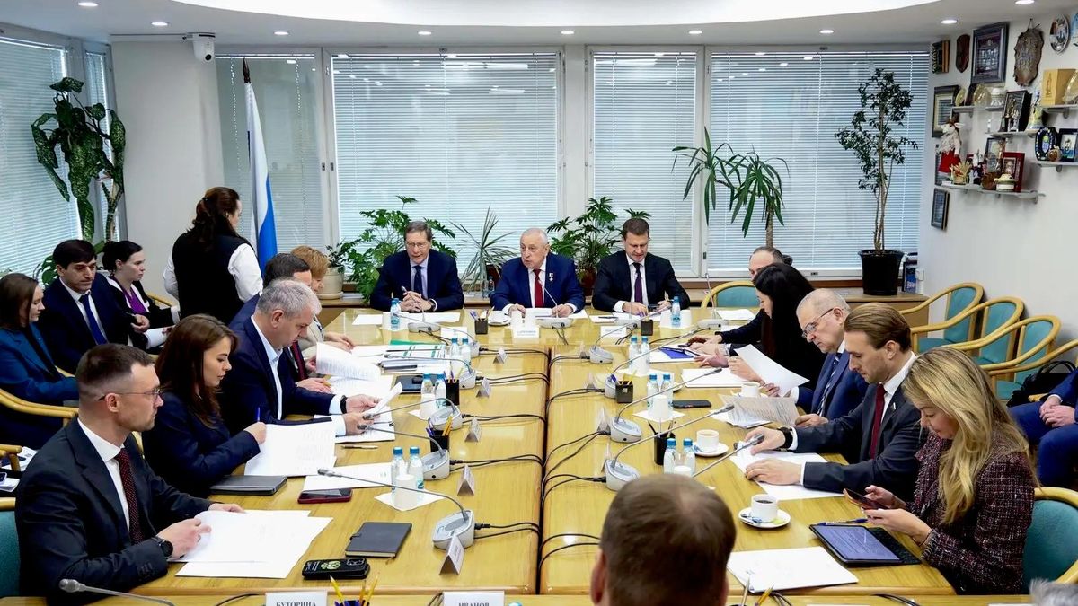 Заседание комитета Госдумы по развитию Дальнего Востока и Арктики